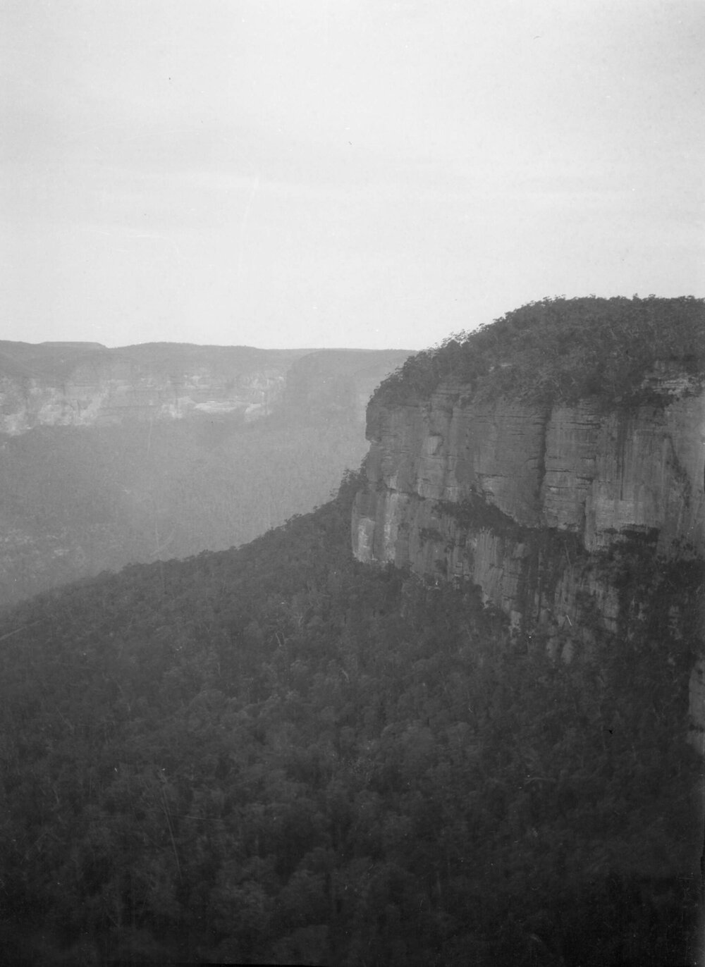 A scene in the Blue Mountains, New South Wales