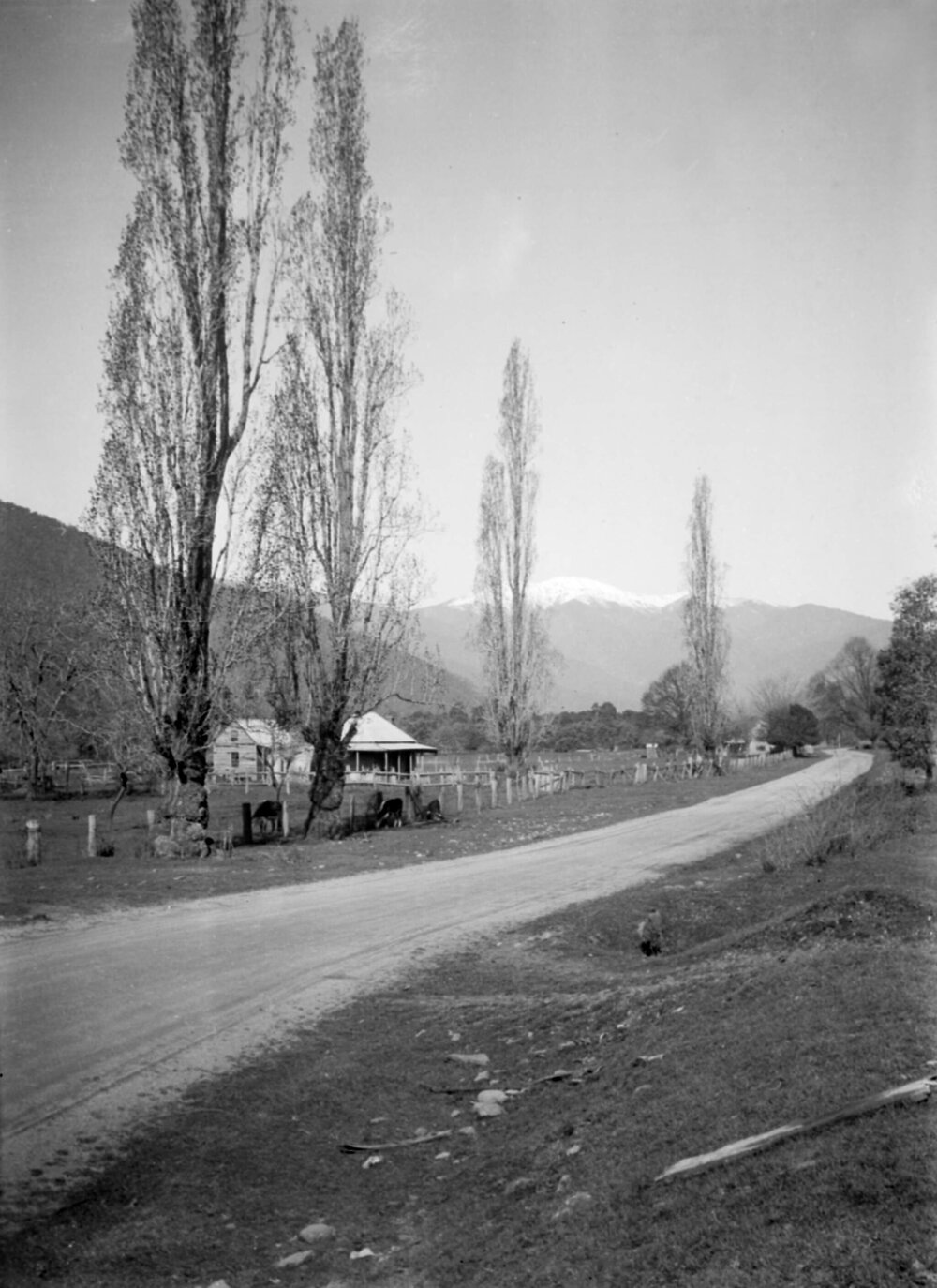 Ovens Valley near Freeburgh looking towards Feathertop [Victoria] September 1935