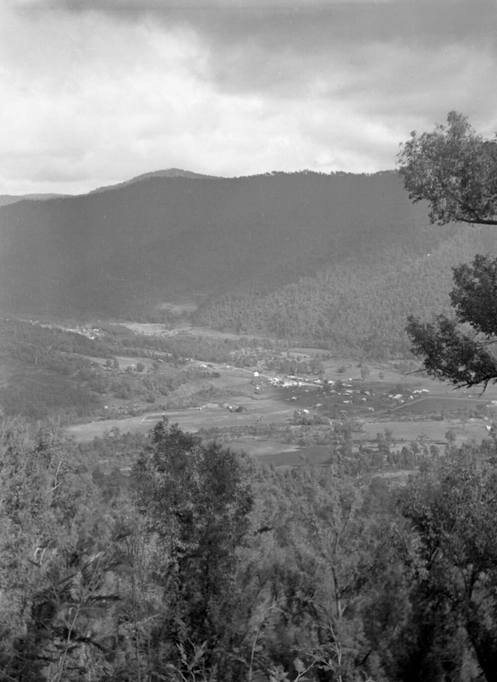 Harrietville &amp; Ovens Valley from Feathertop track [Victoria] September 1937