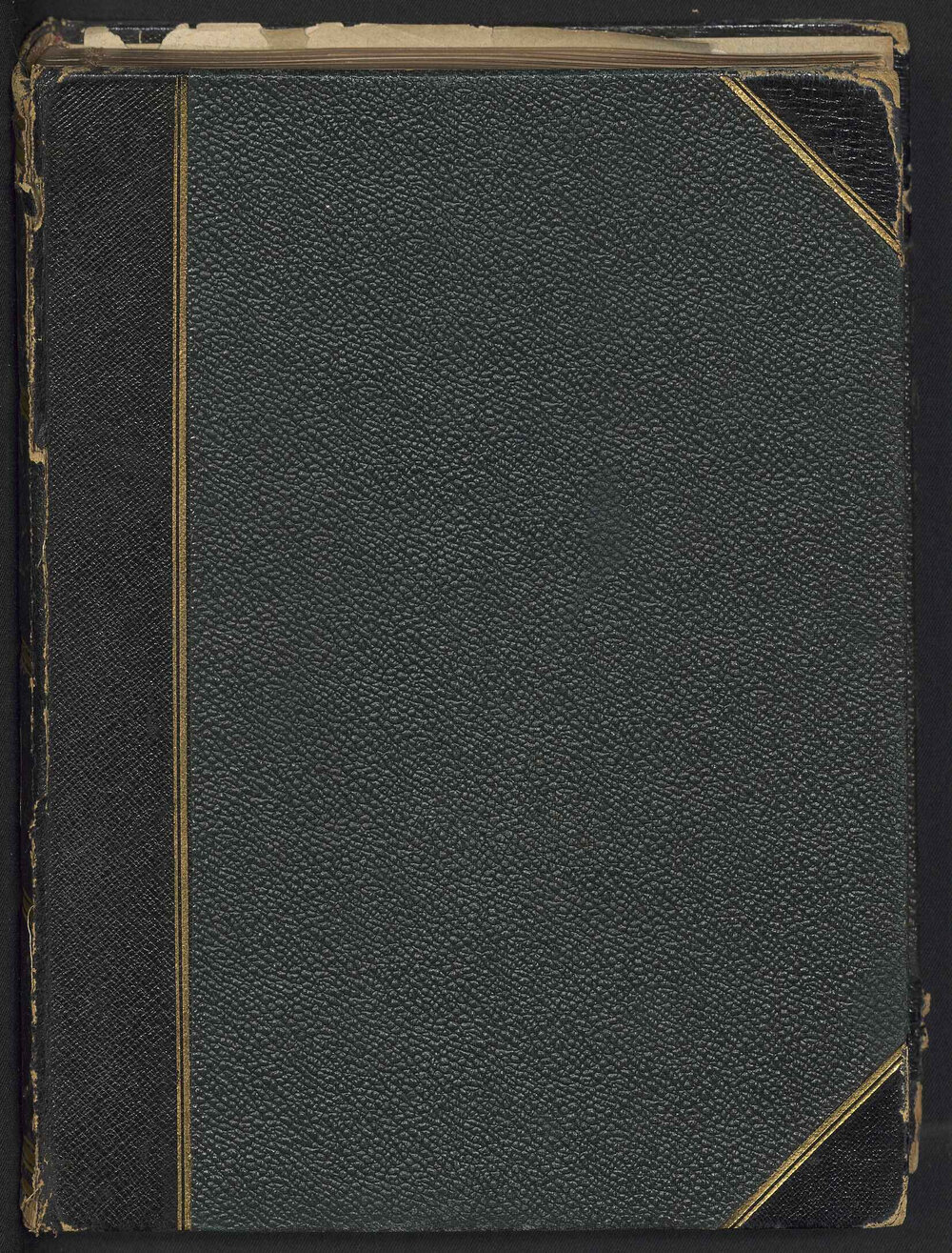 [2002.0003.00695] Photograph Album - personal family photographs and subjects of interest to WRG