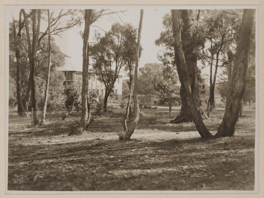 Flint Hill - Woodend