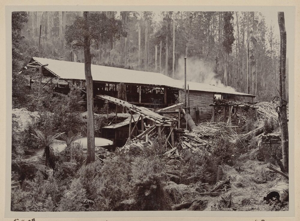 No. 2 mill, Warburton