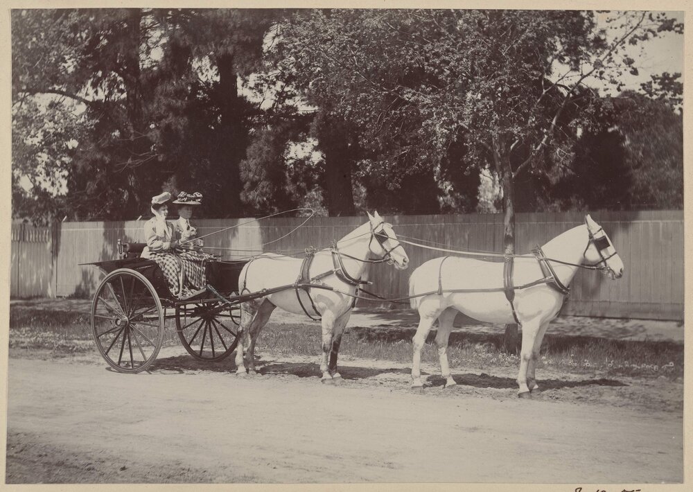 Two ladies on a drive