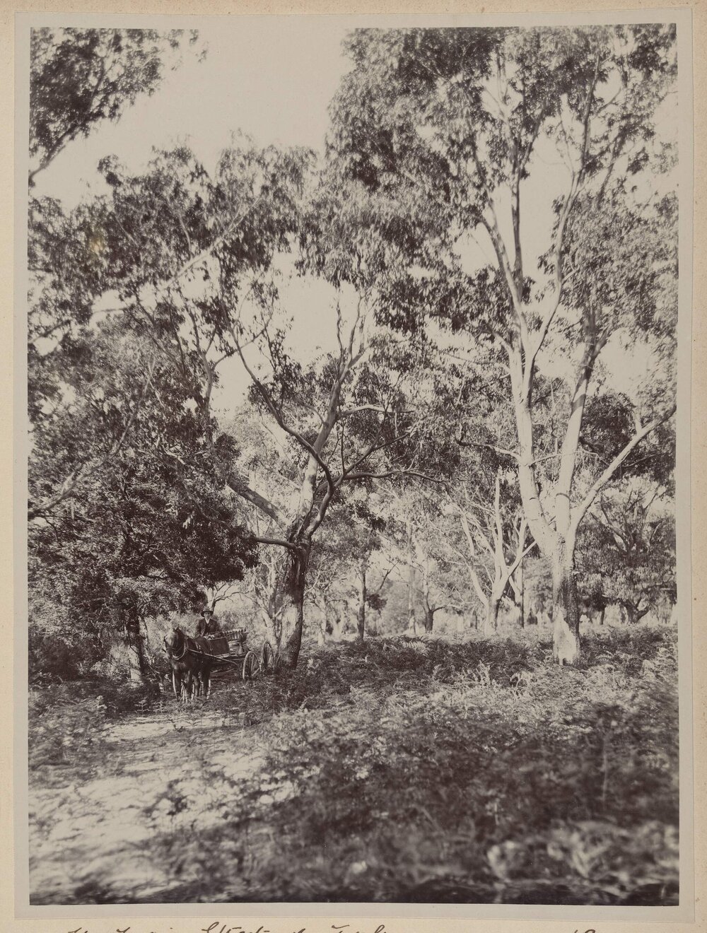 The main Street of Tulinn