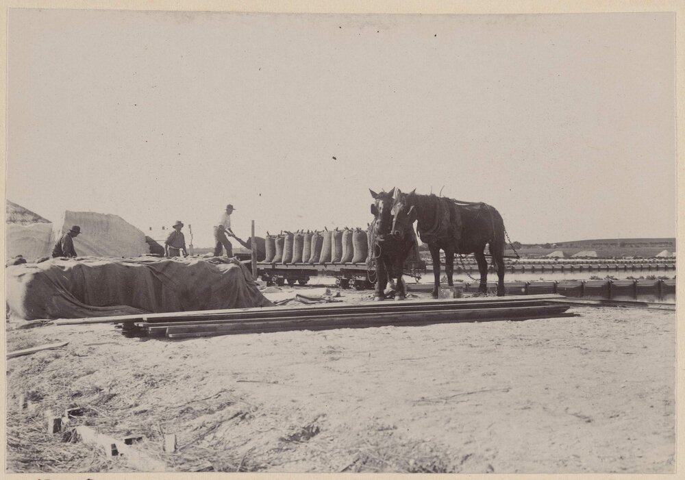 Salt  works,  Geelong