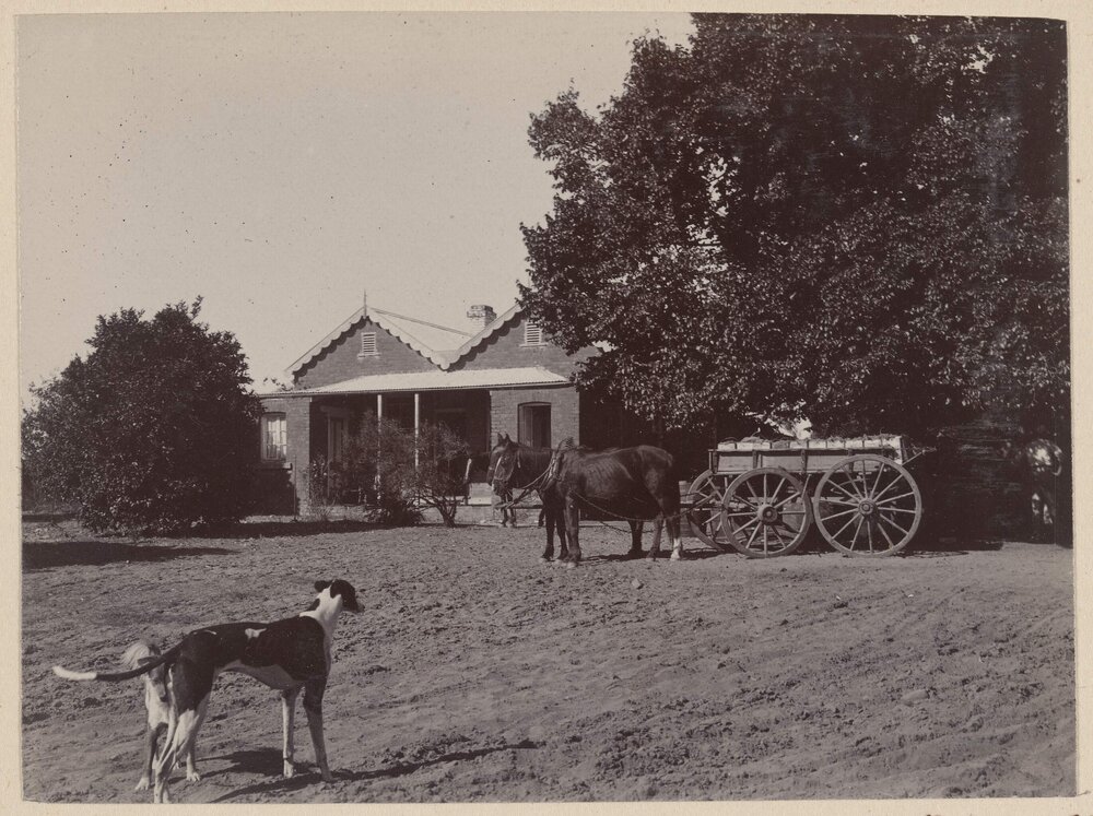 The Tuilderies, Wahgunyah