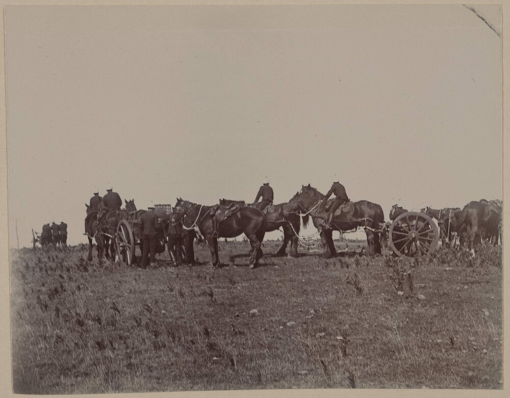 The limbers - Coolart