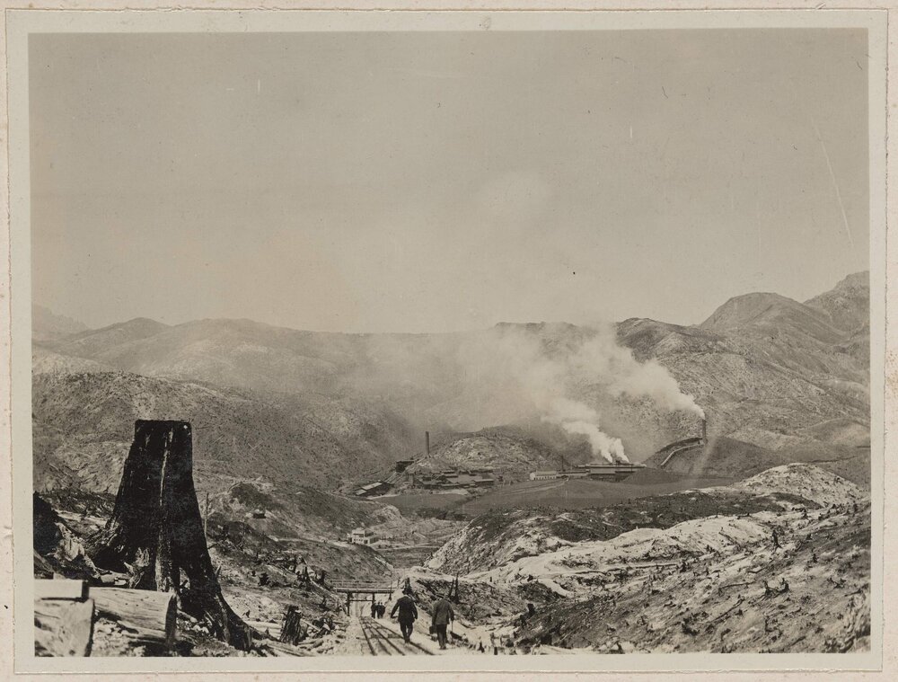 [The Smelters at Mount Lyell]