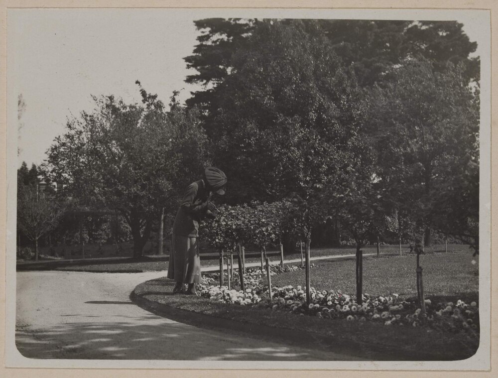 [View of the garden at] Miegunyah