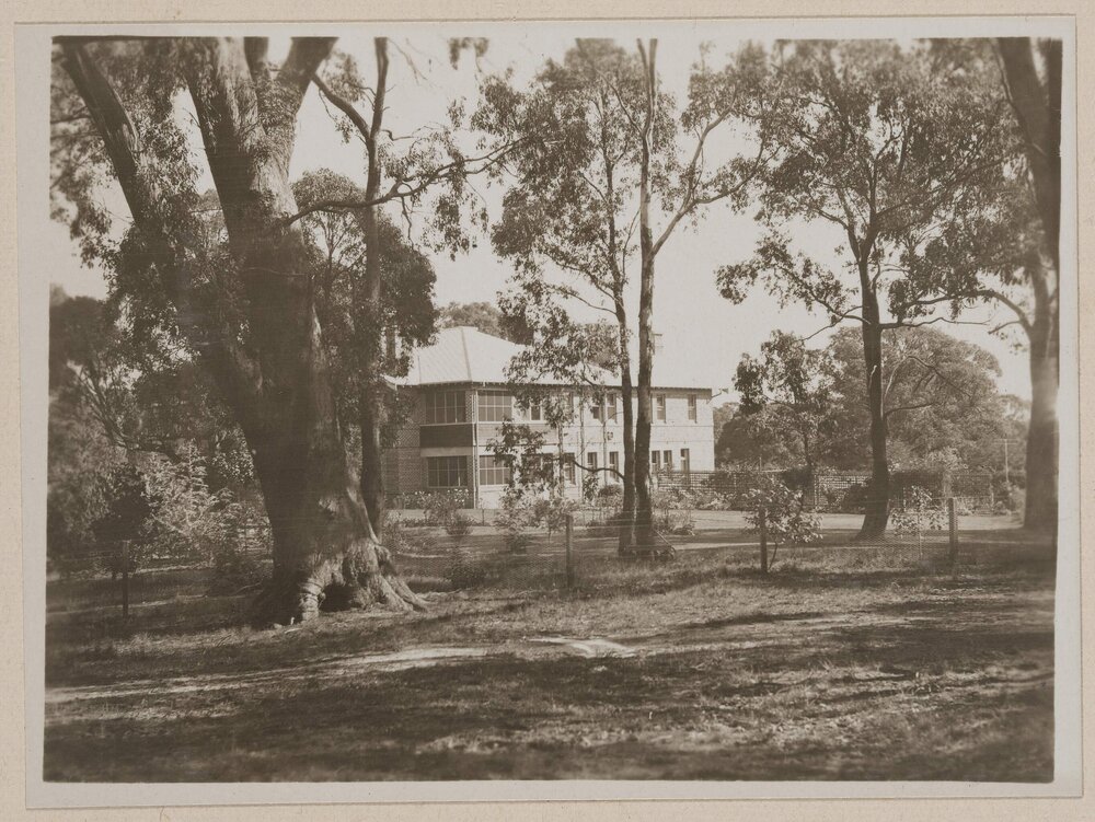 Flint Hill - Woodend [garden and bushland surrounds]