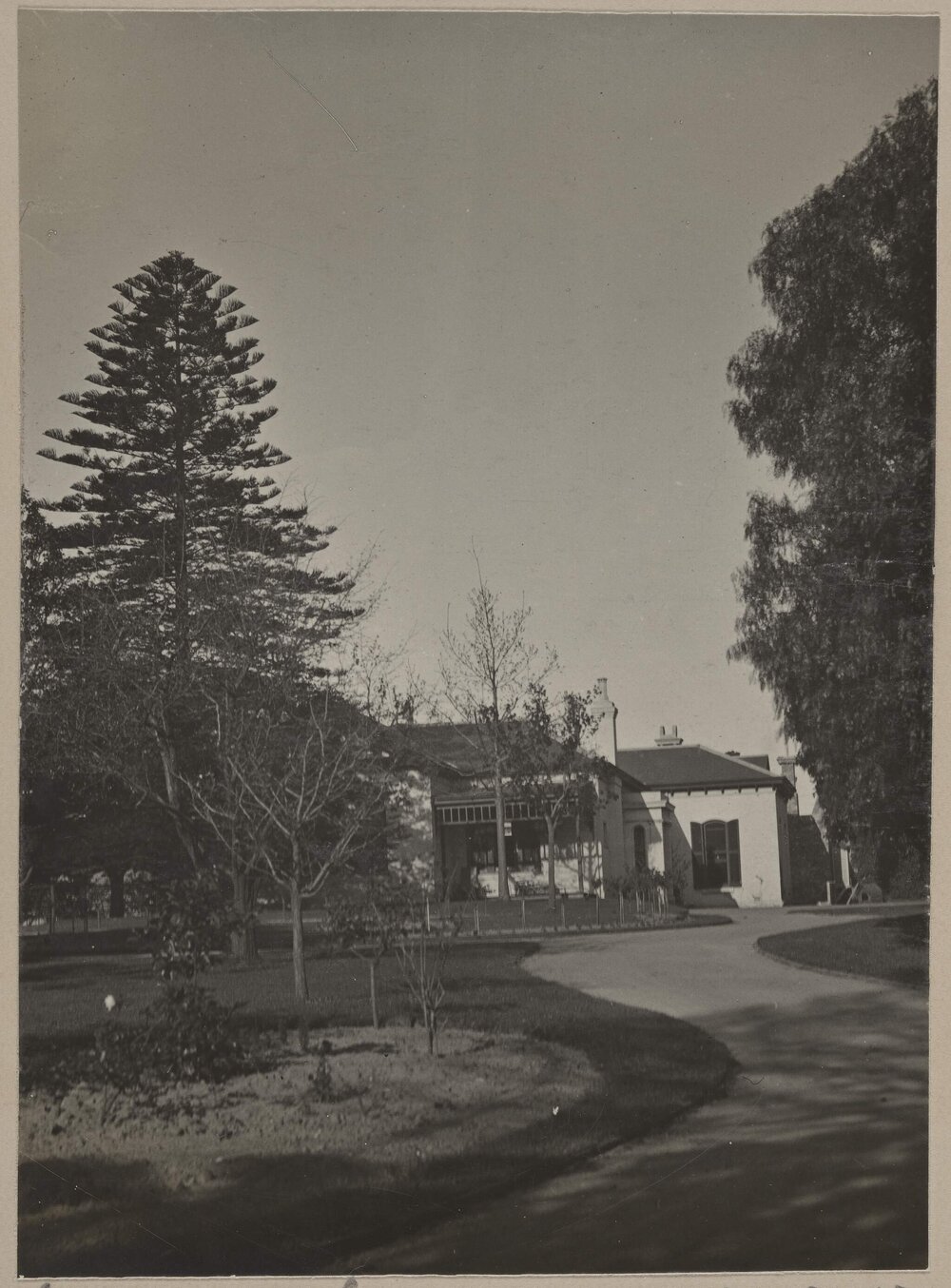 Miegunyah [curved driveway]