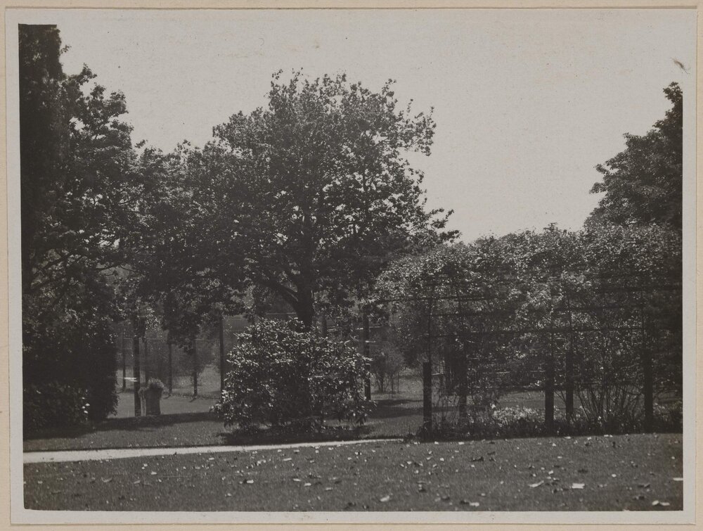 [View of the garden at] Miegunyah