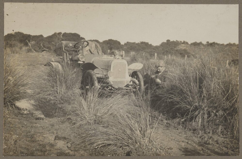 Caught in a tussock on the Coorong