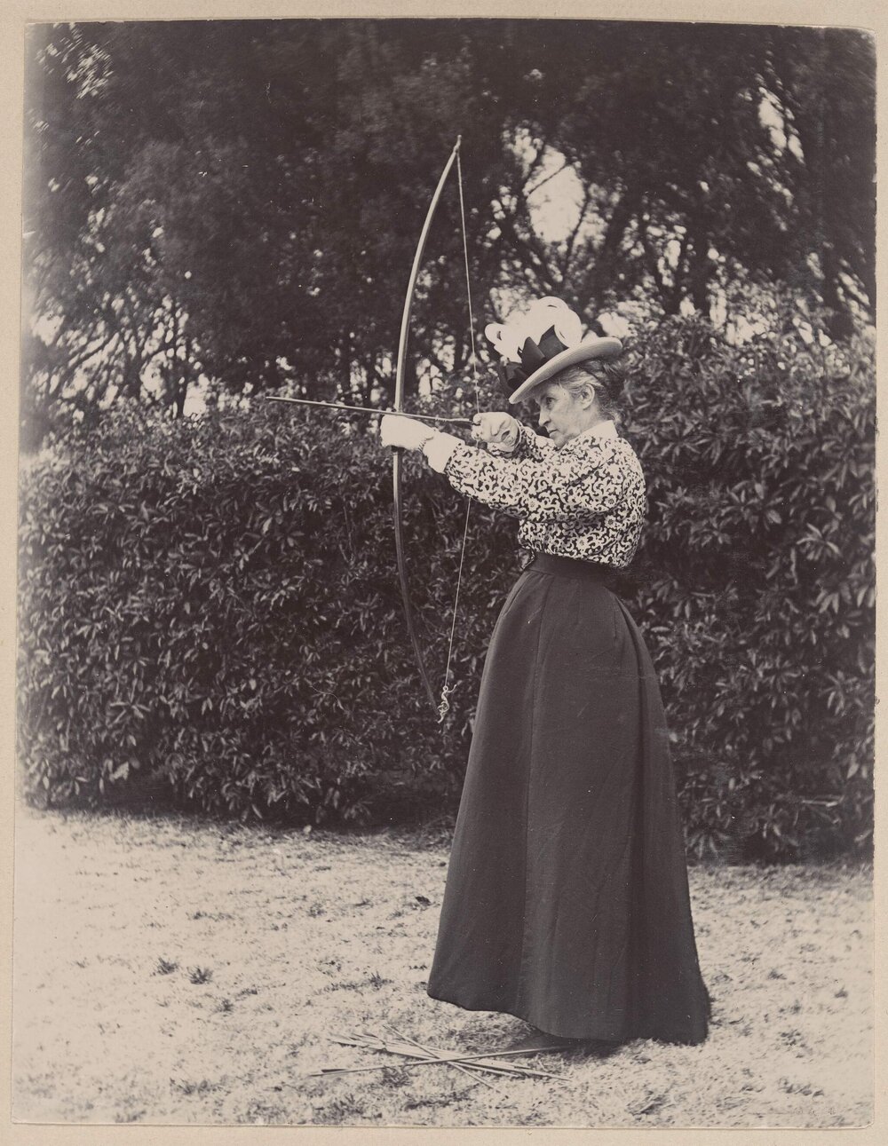 On the Bulls&rsquo; eye, Coolart