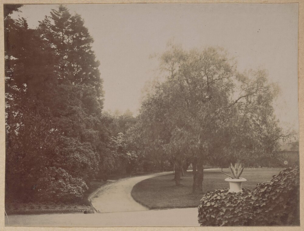 A section of the garden at Montalto, Orrong Road Toorak, Victoria