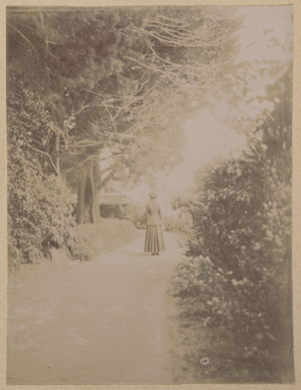 Garden at Montalto, Orrong Road Toorak, Victoria