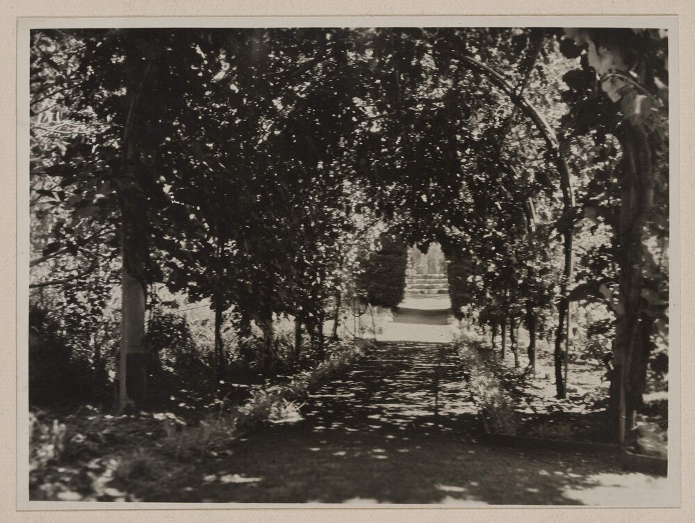 [Vine-covered arched garden arbours,] Marathon [garden path]