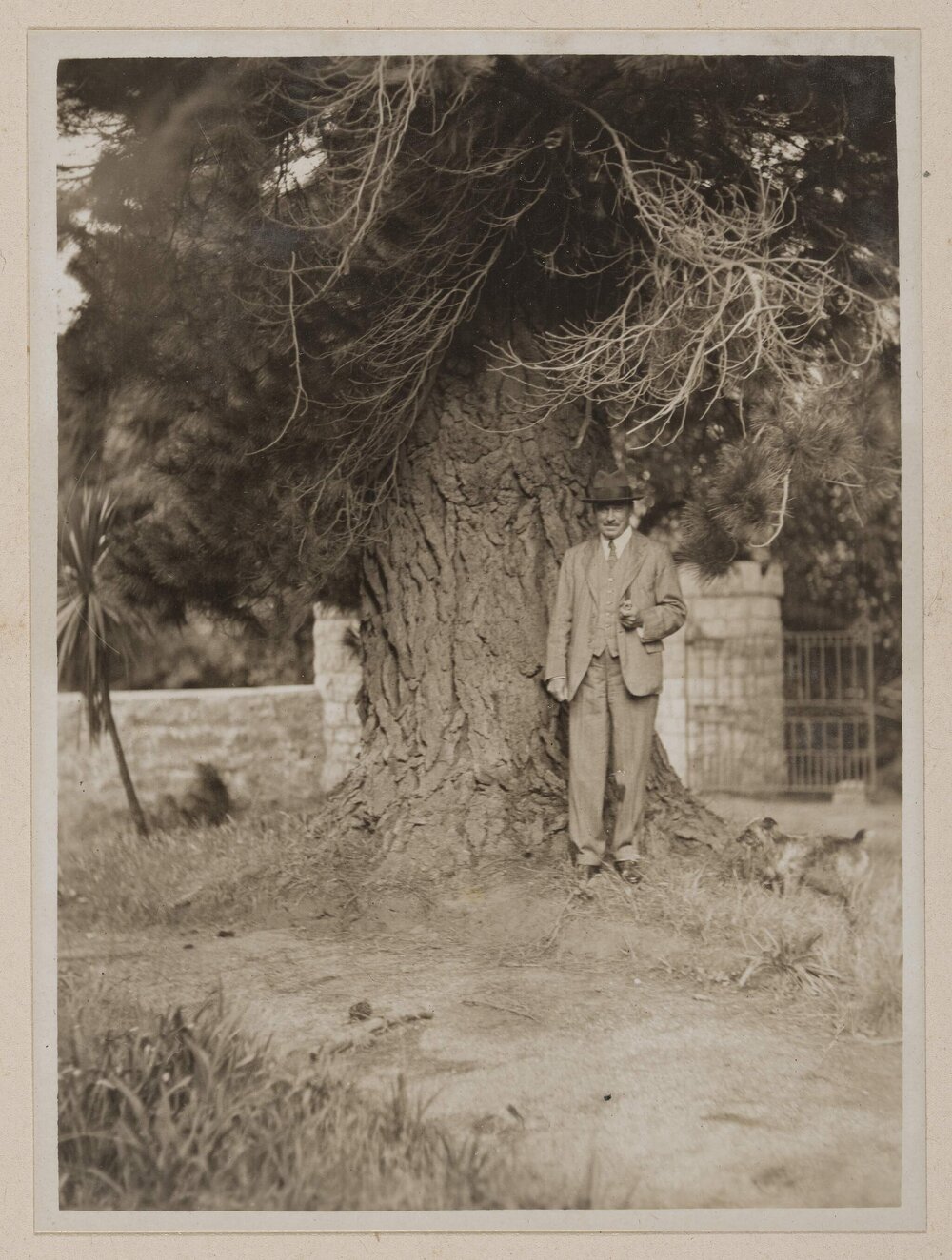 [Russell Grimwade in the garden,] Ercildoune [Homestead]