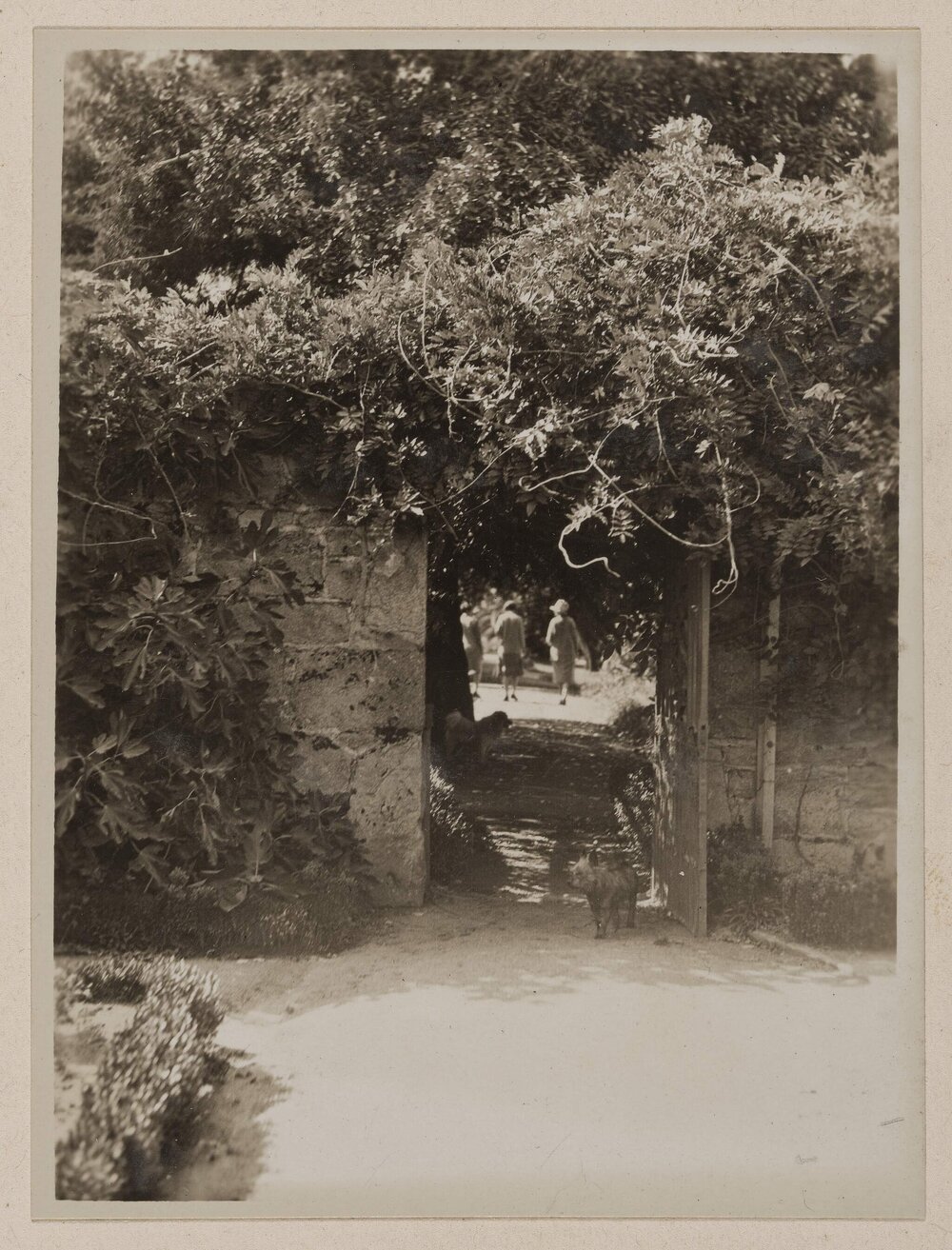 Ercildoune [Homestead stonewall and gate]