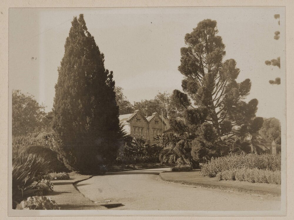 Ercildoune [Homestead long driveway]