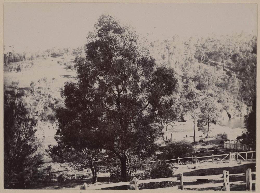 From Hotel Balcony - Warrandyte