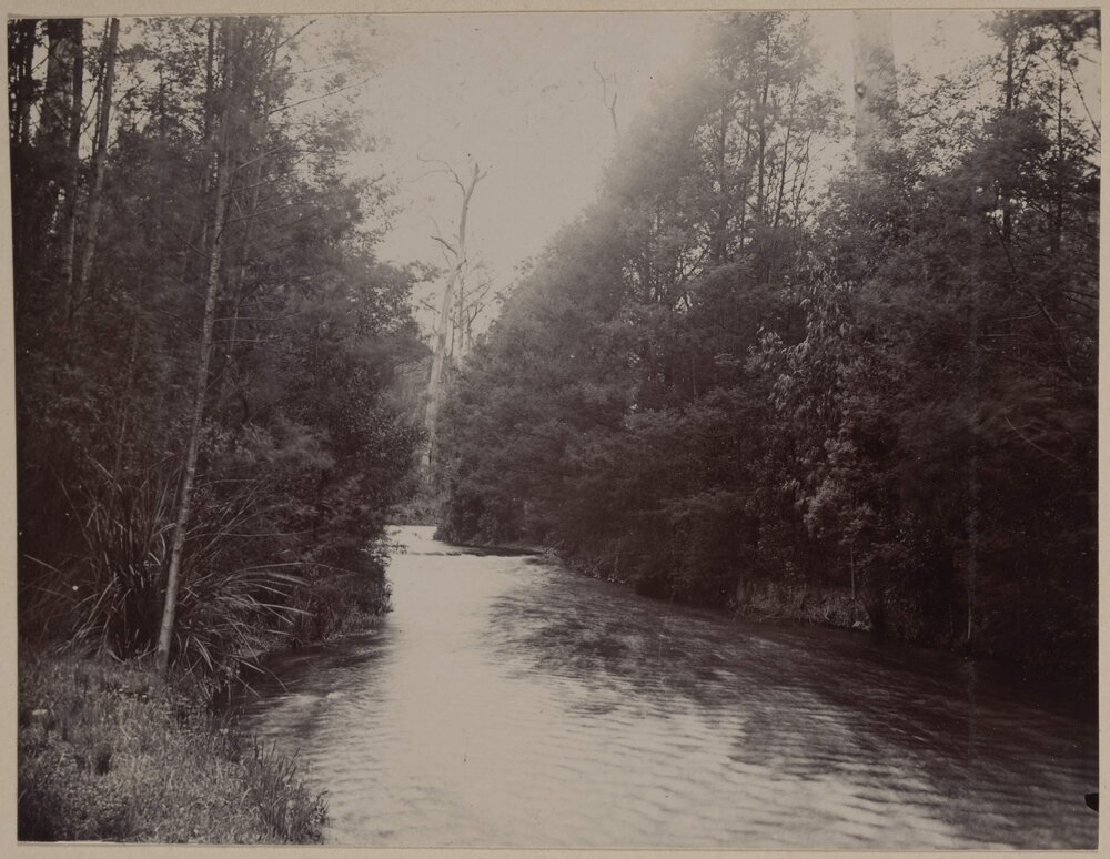 Maroondah River