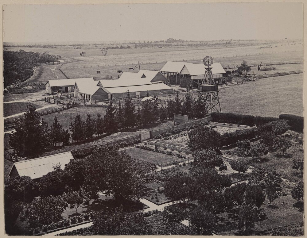 Birds-eye view of the garden