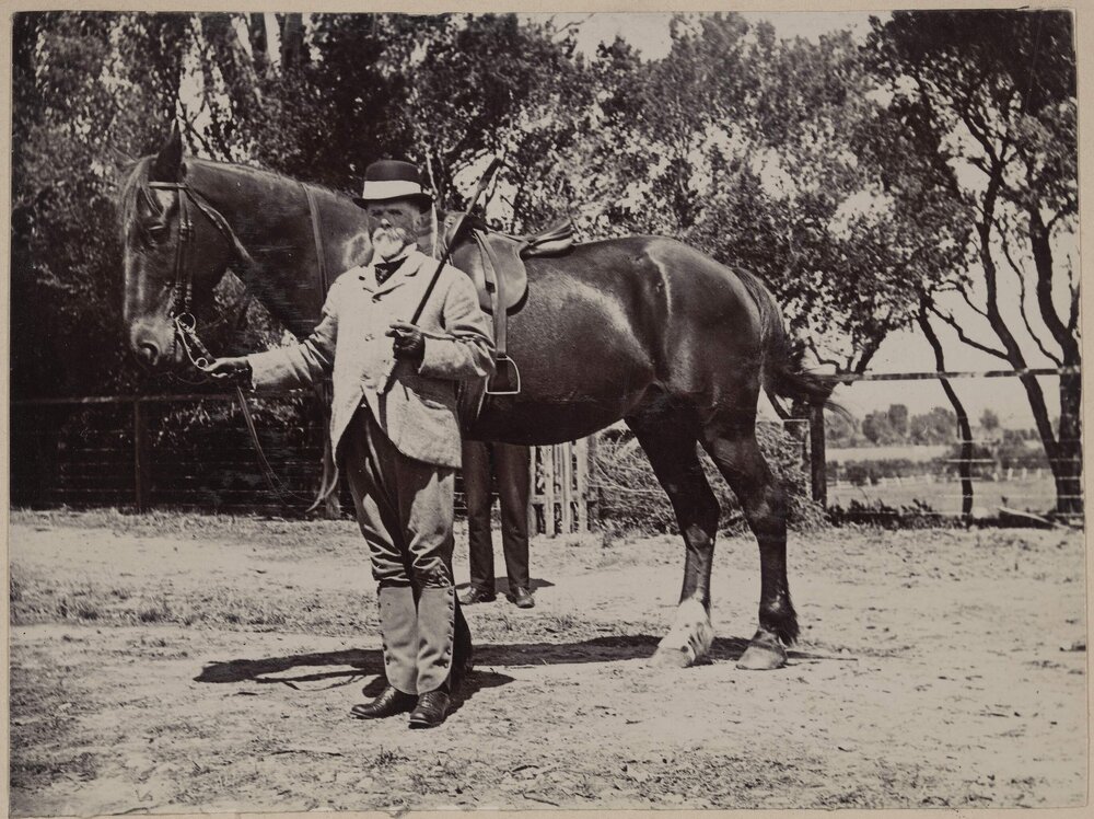Frederick Sheppard Grimwade with horse at  Coolart