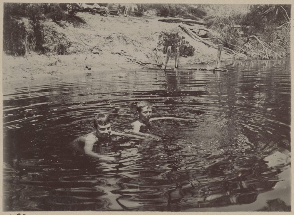 In the Coolart Creek