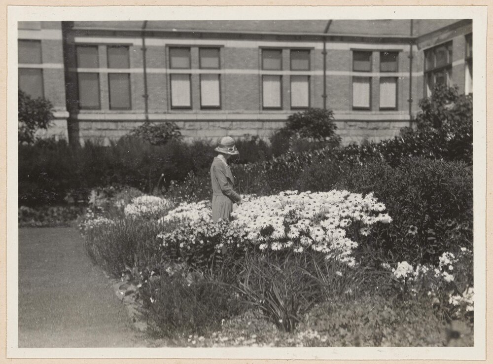 Shasta Daisies, Empress Hotel