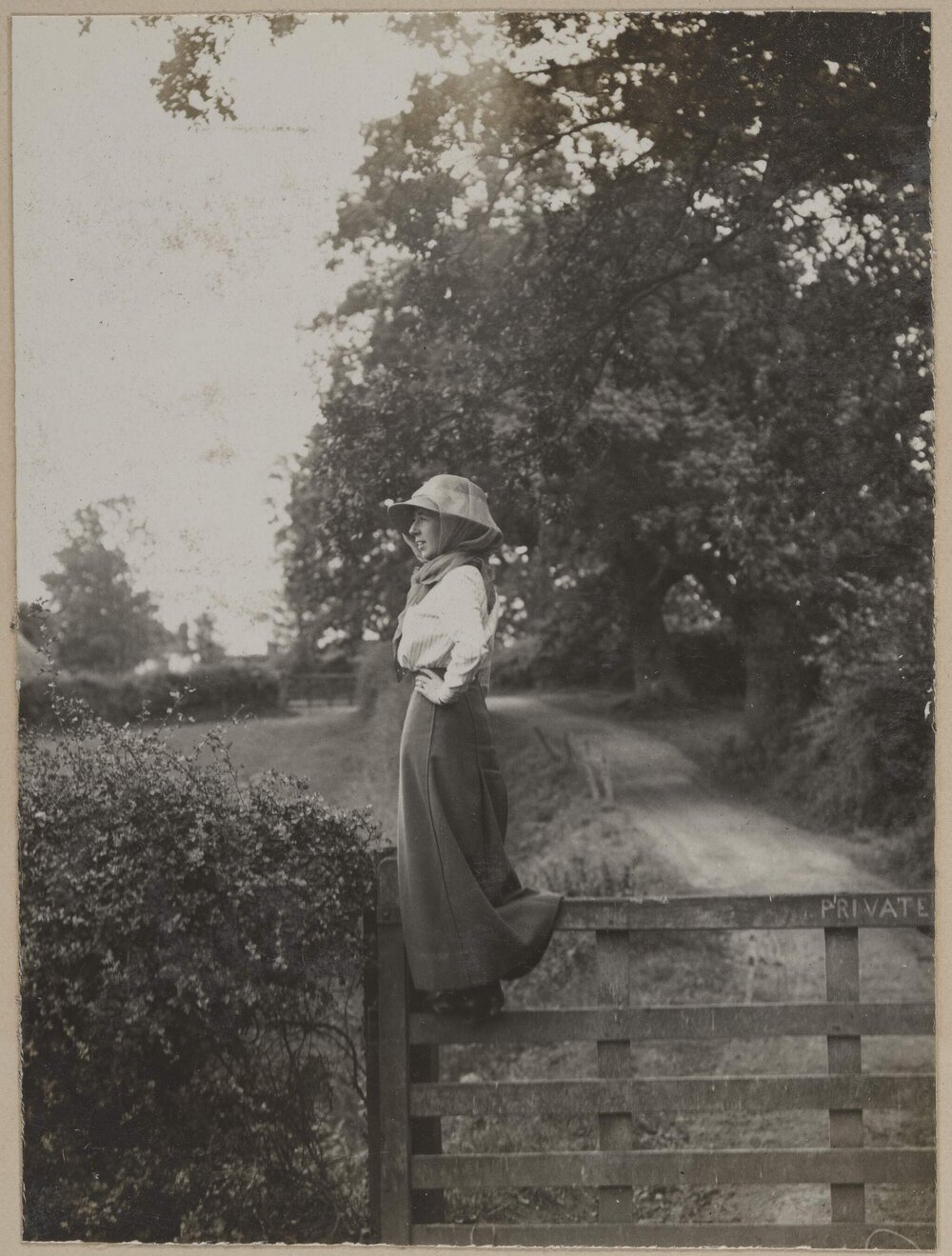 [Mab standing on gate]