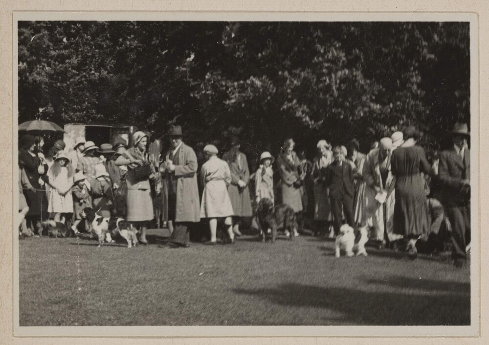 Comical dog show [Miegunyah]