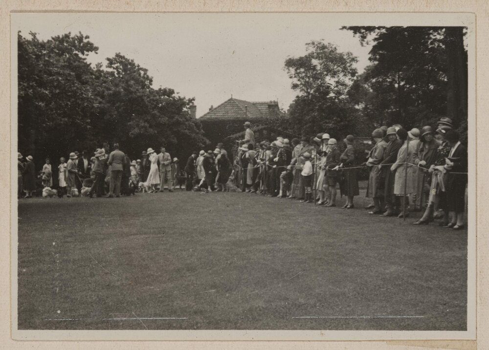 Comical dog show [Miegunyah]