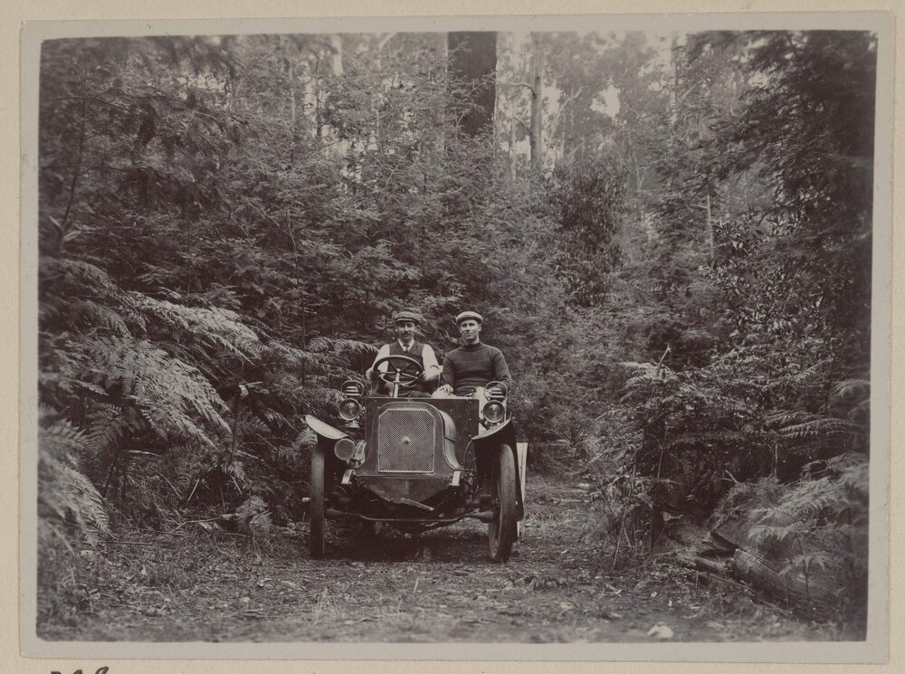 On the way to the Steavenson Falls Marysville