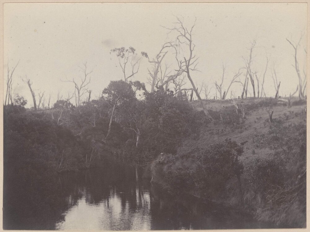 At East Head, Western Port