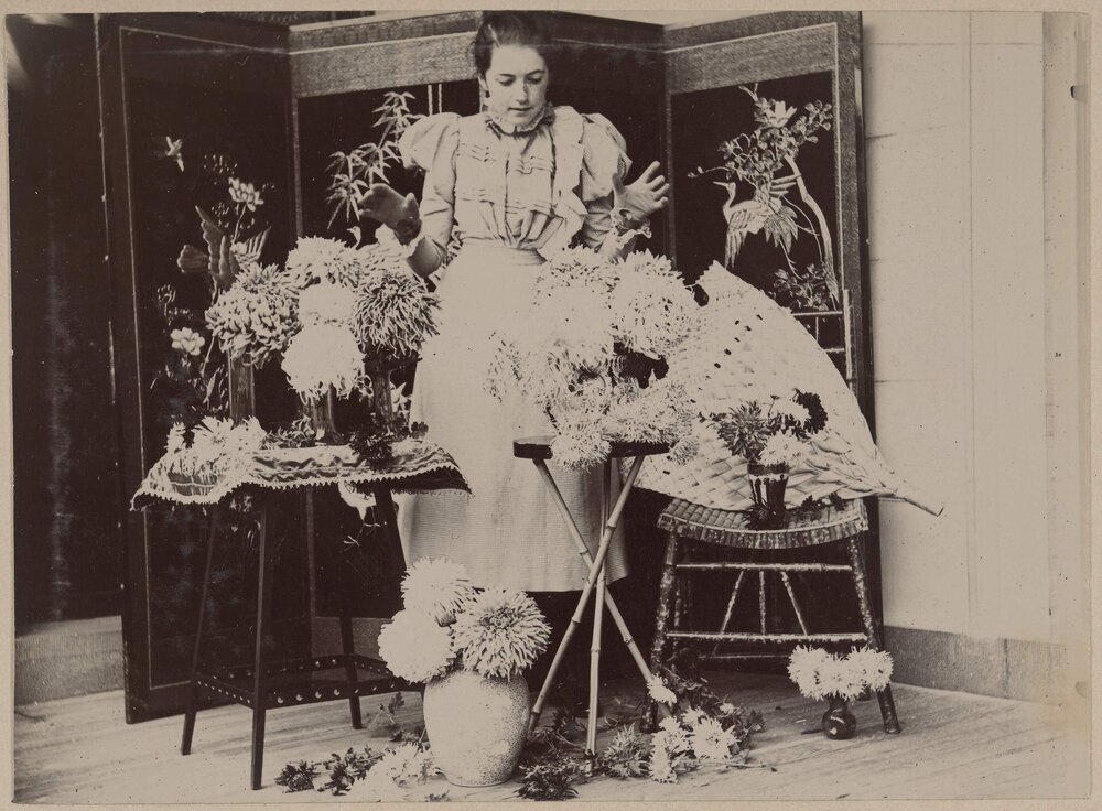 [Woman with chrysanthemums in vases]