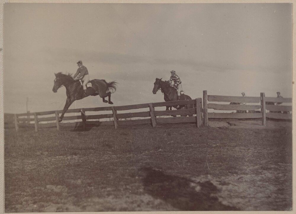 Maiden steeplechase, Caufleid