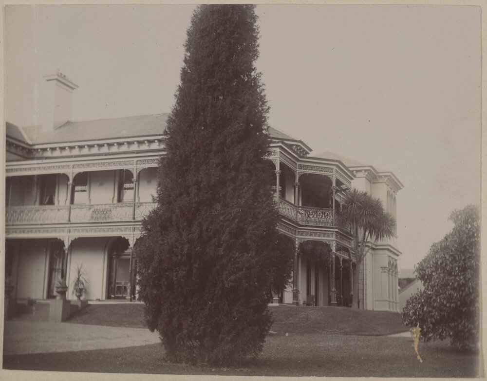 [Fir tree], Harleston