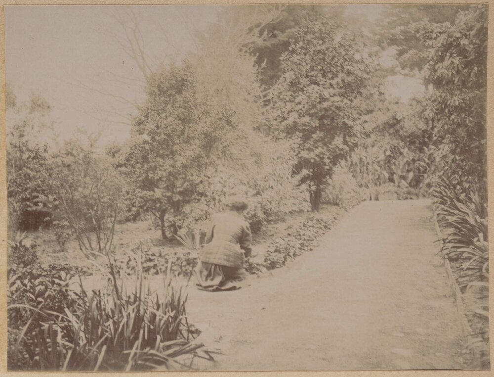 [A section of the garden at Montalto, Orrong Road, Toorak]