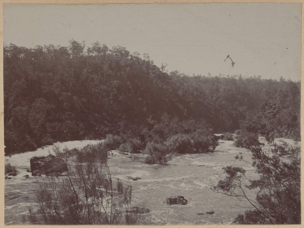 [River at Launceston]