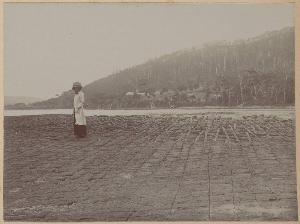 [Tessellated pavement at Eaglehawk Neck]