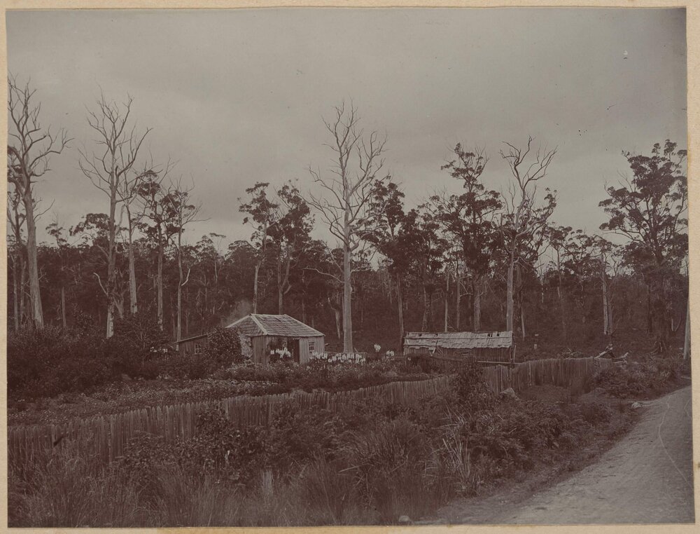 [Bark hut in fenced off yard]