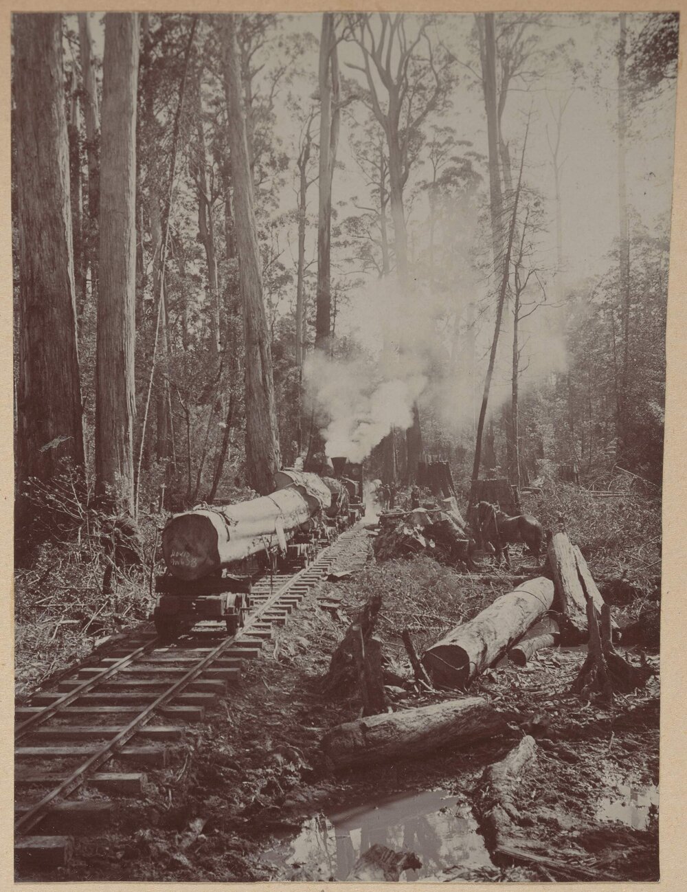 [Geeveston Timber Tramway]