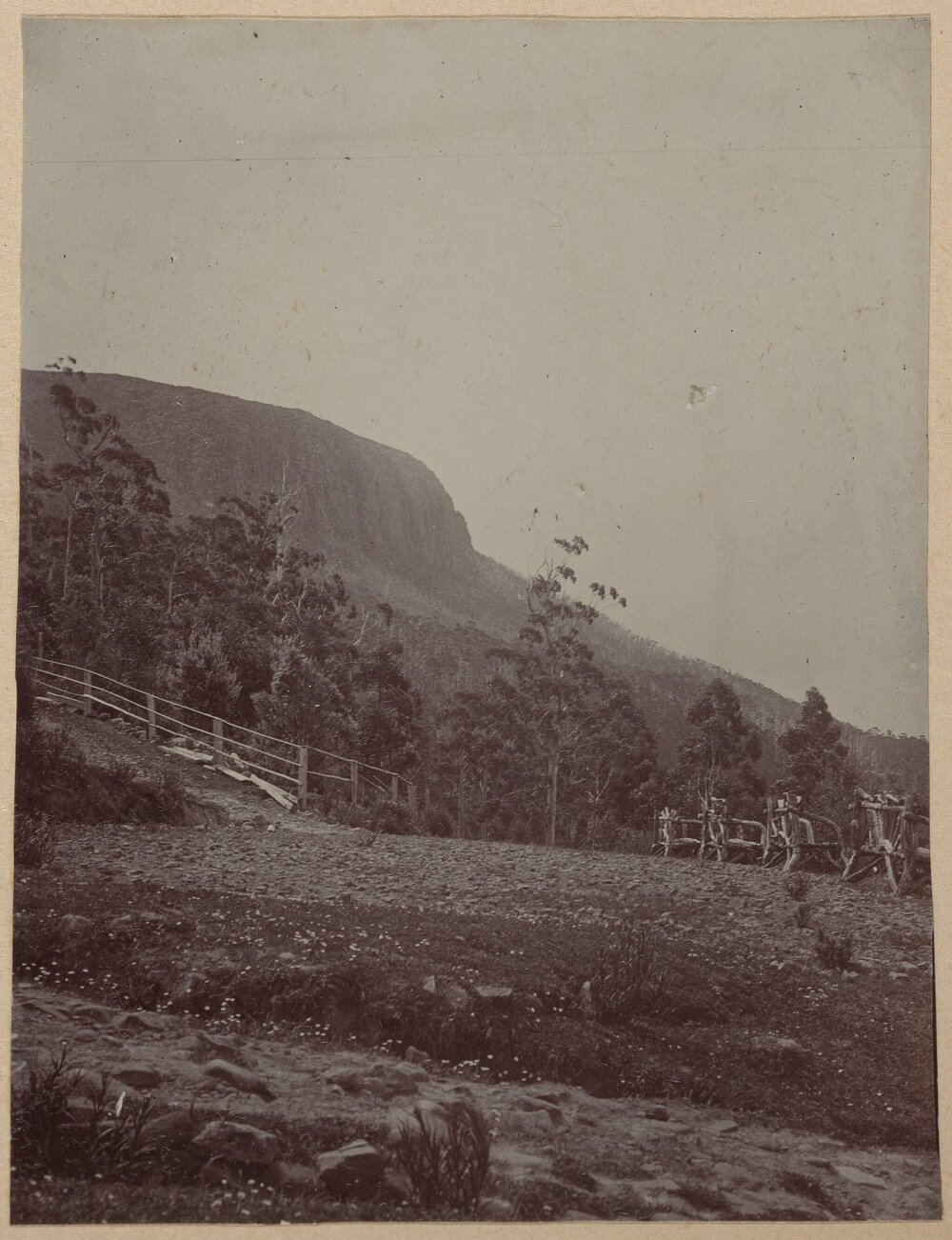 [View of fence line, trees and mountain]