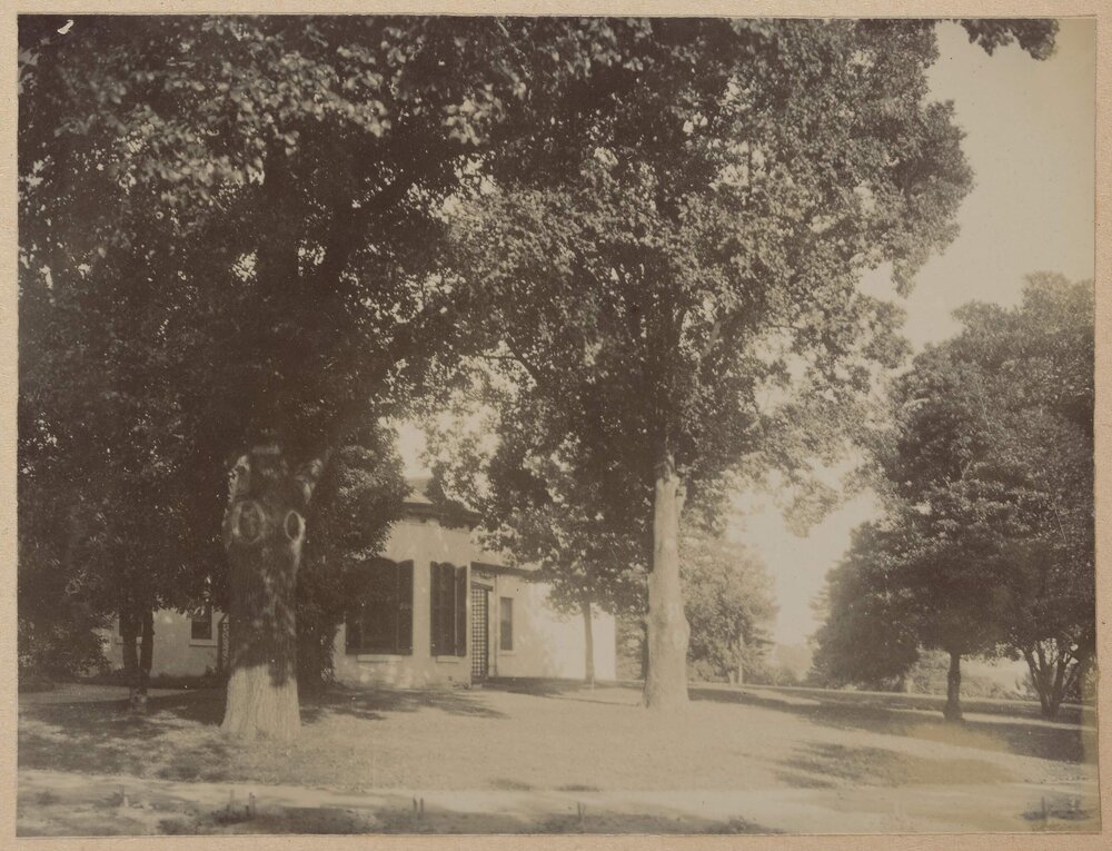 [Miegunyah behind tall trees]