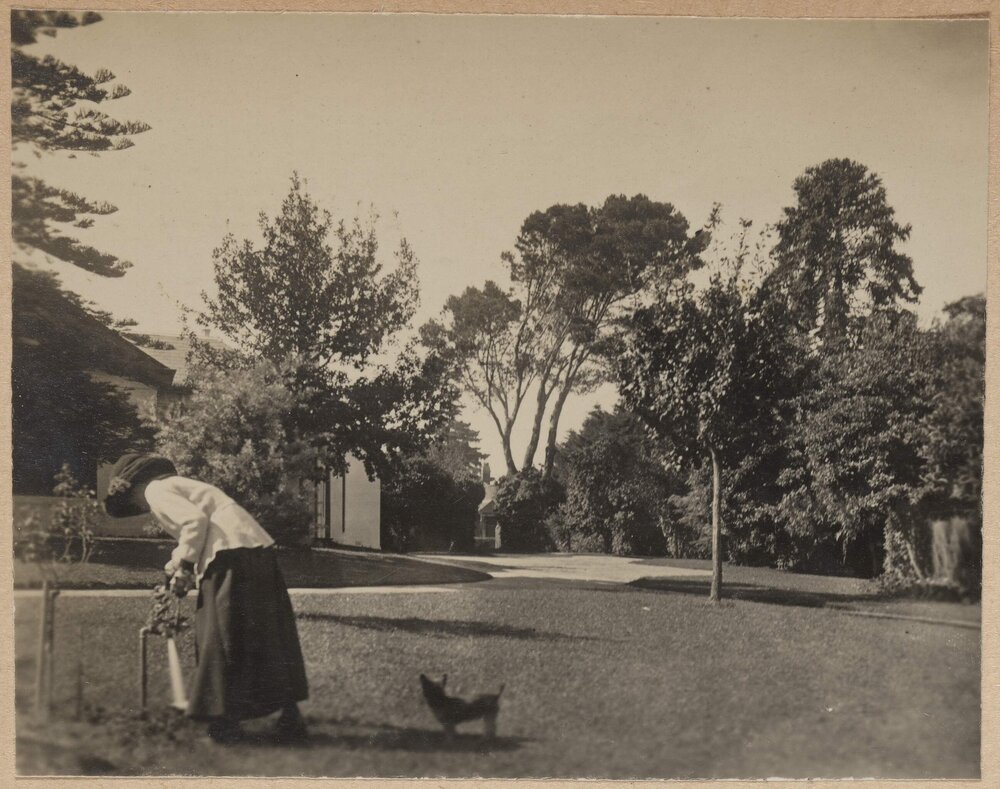 [Woman in garden with dog]