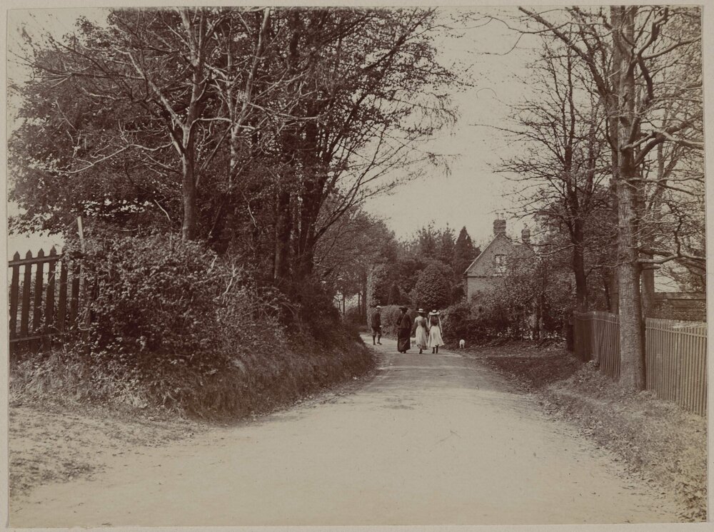 Lane walk, Warlingham
