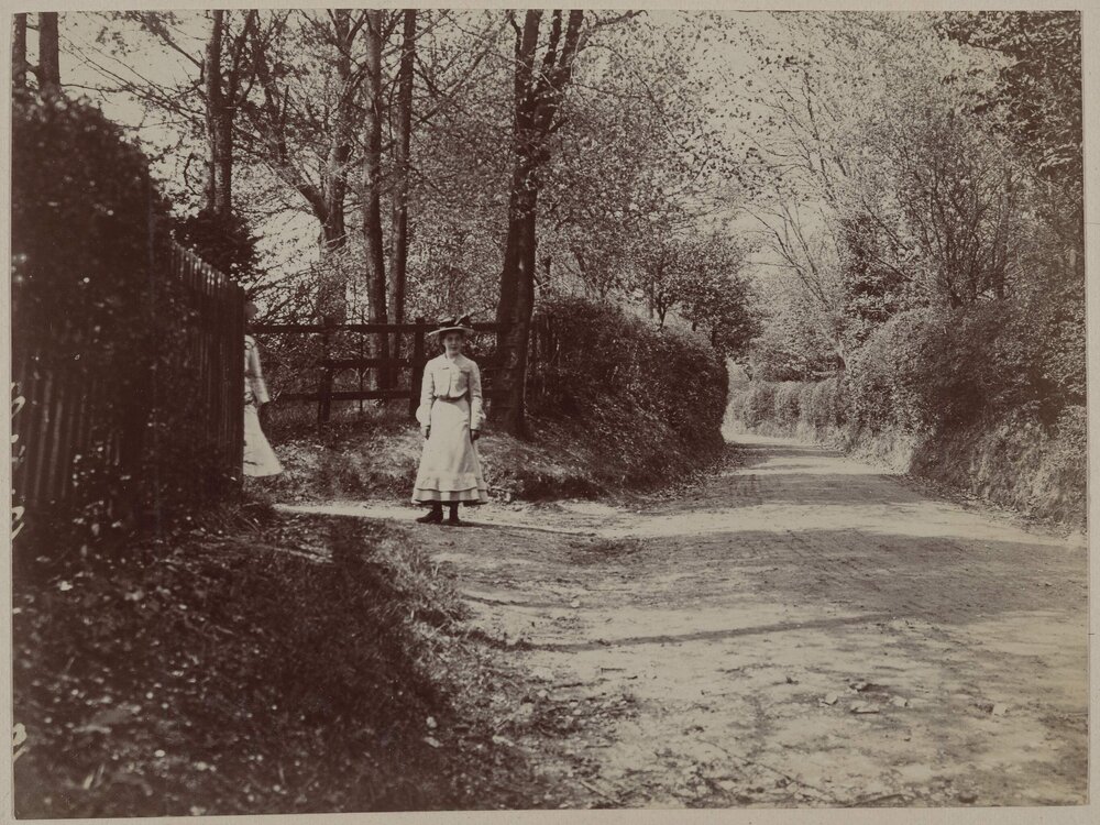 A Surrey Lane