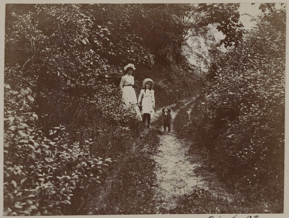 Woodland Path - Derbyshire