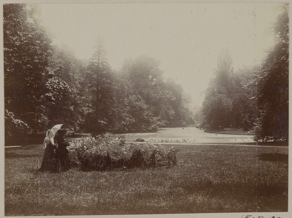 View in the Botanic Gardens, Rotterdam